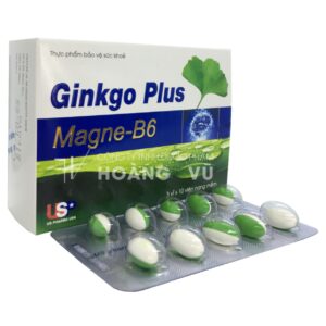 GINKGO PLUS MAGNE-B6 (T/105H/30V)