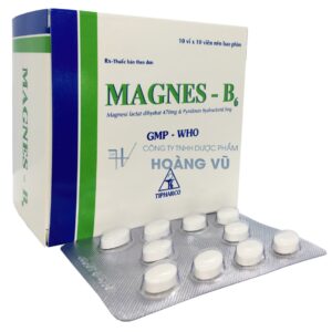 MAGNES-B6 (T/90H/100v)