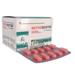 MEPHEBOSTON 500 (T/60H/100V)